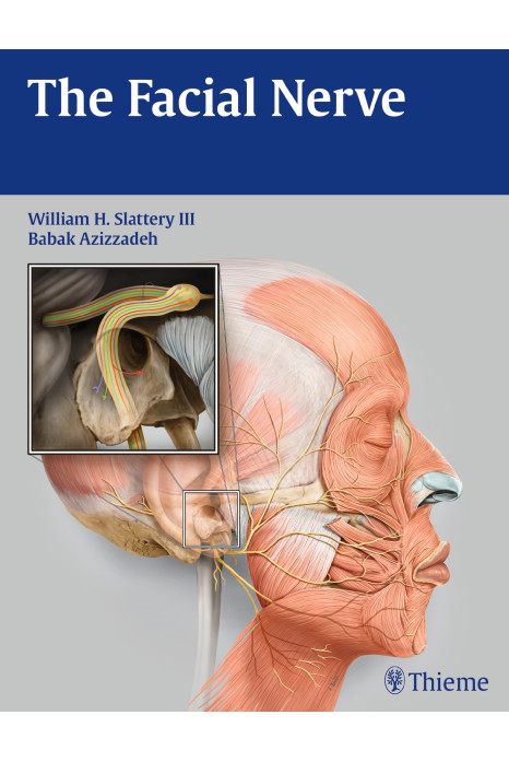 The Facial Nerve