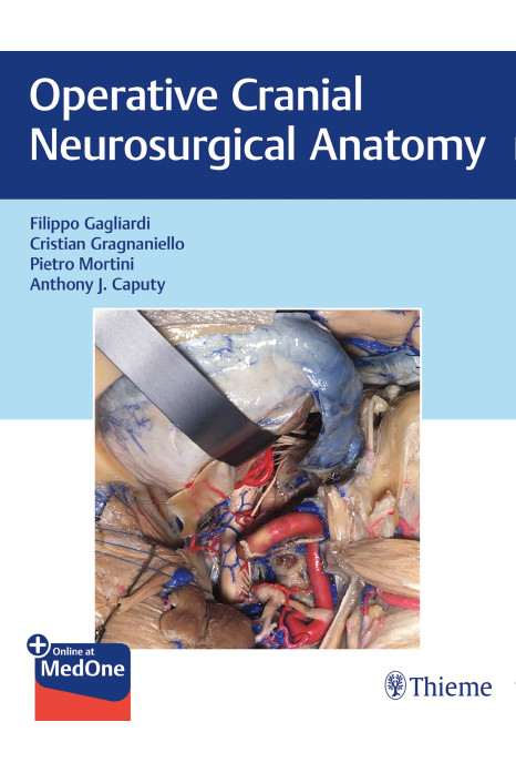 Operative Cranial Neurosurgical Anatomy