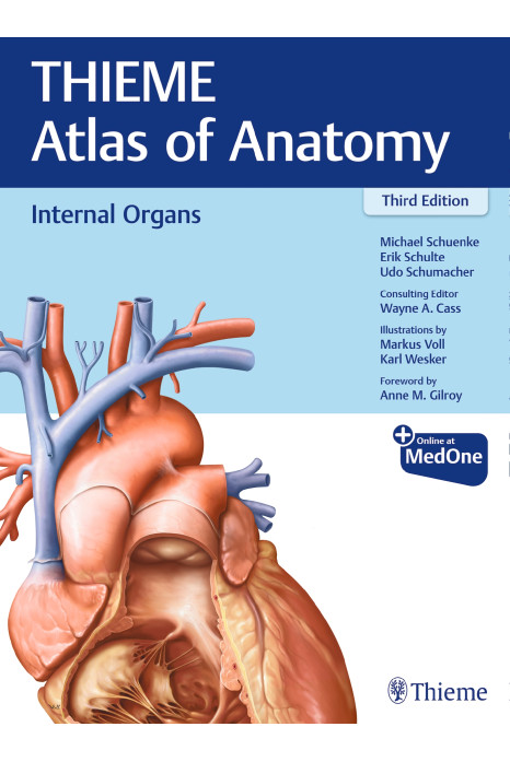 Internal Organs (THIEME Atlas of Anatomy)