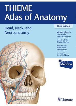 Head, Neck, and Neuroanatomy (THIEME Atlas of Anatomy)