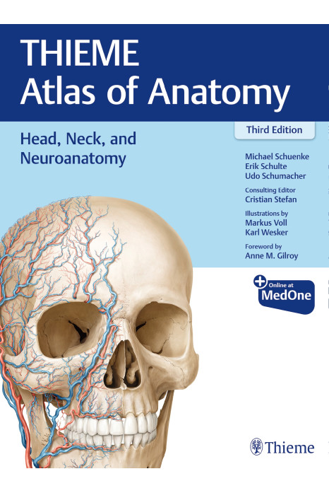 Head, Neck, and Neuroanatomy (THIEME Atlas of Anatomy)