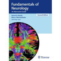 Fundamentals of Neurology