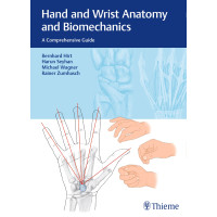 Hand and Wrist Anatomy and Biomechanics