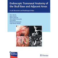 Endoscopic Transnasal Anatomy of the Skull Base and Adjacent Areas