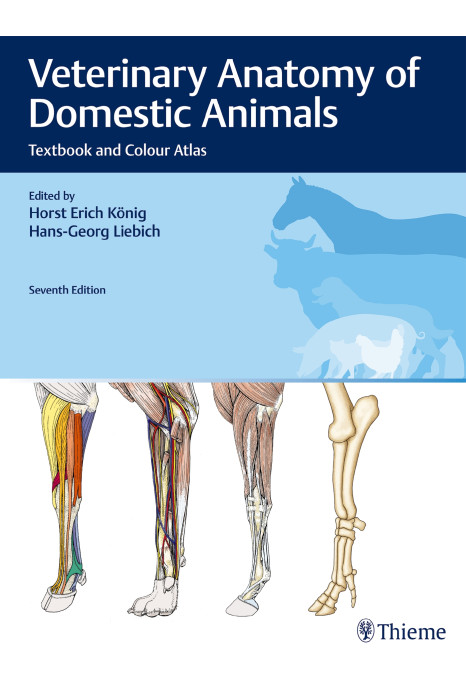 Veterinary Anatomy of Domestic Animals