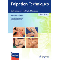 Palpation Techniques