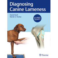 Diagnosing Canine Lameness