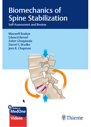 Biomechanics of Spine Stabilization