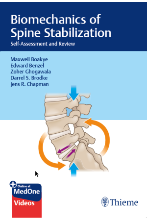 Biomechanics of Spine Stabilization