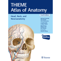 Head, Neck, and Neuroanatomy (THIEME Atlas of Anatomy)