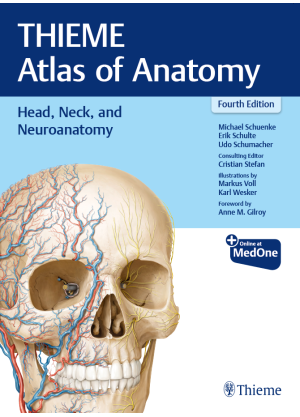 Head, Neck, and Neuroanatomy (THIEME Atlas of Anatomy)